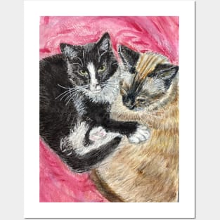 Siamese cat and tuxedo cat Posters and Art